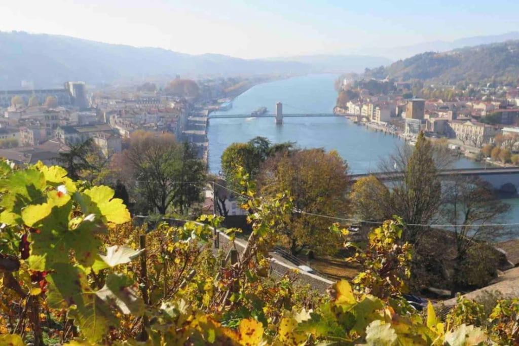 Appartement Vignes 2 Personnes Vienne  Bagian luar foto